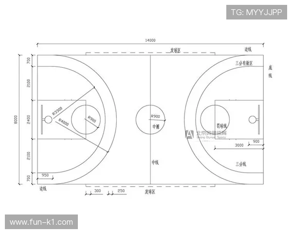 国际篮球与NBA干扰球规则差异详解